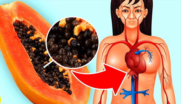 Health Benefits of Eating Pawpaw Seeds