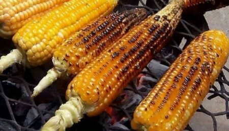 Health Benefits of Eating Roasted Maize