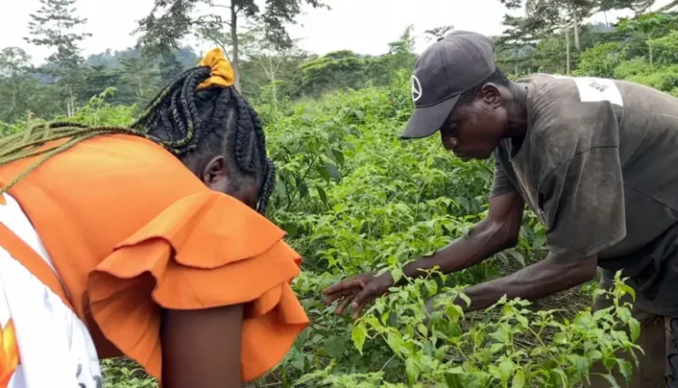 74684980 1004 Scaled.webp